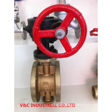 Three Eccentric PTFE Seat Bronze Butterfly Valve